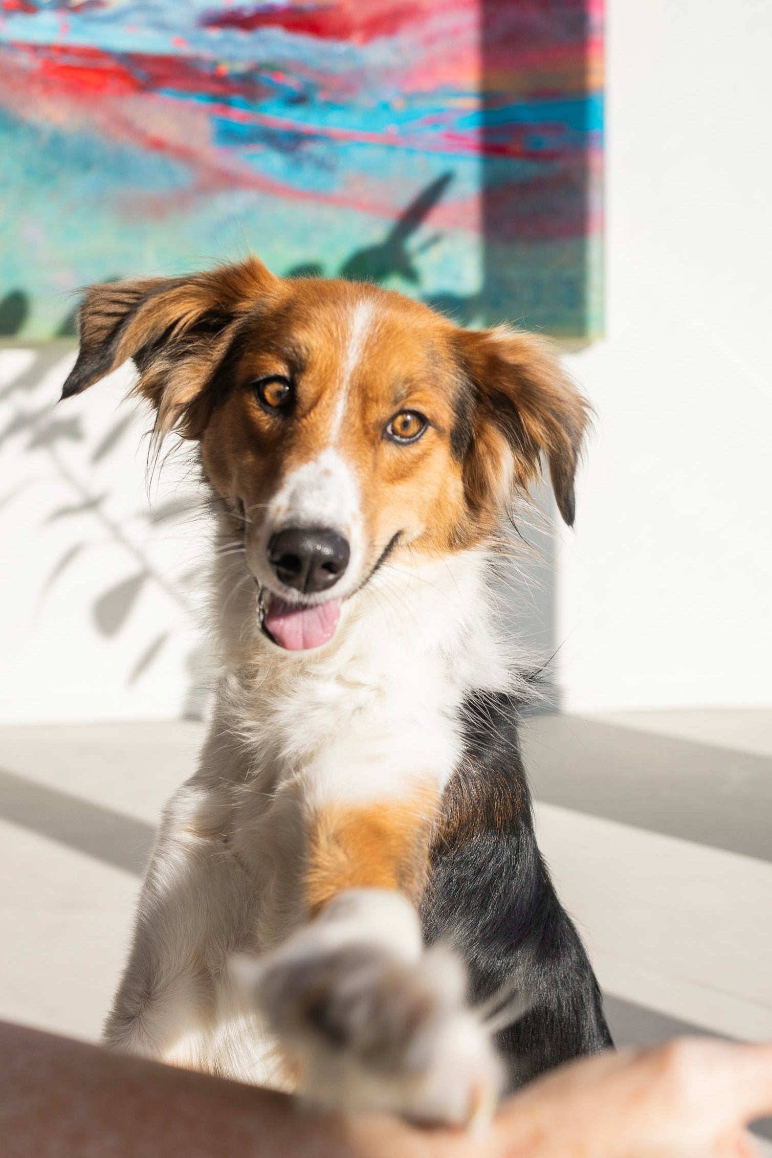 Berkley: The Big, Playful Heart of the Family