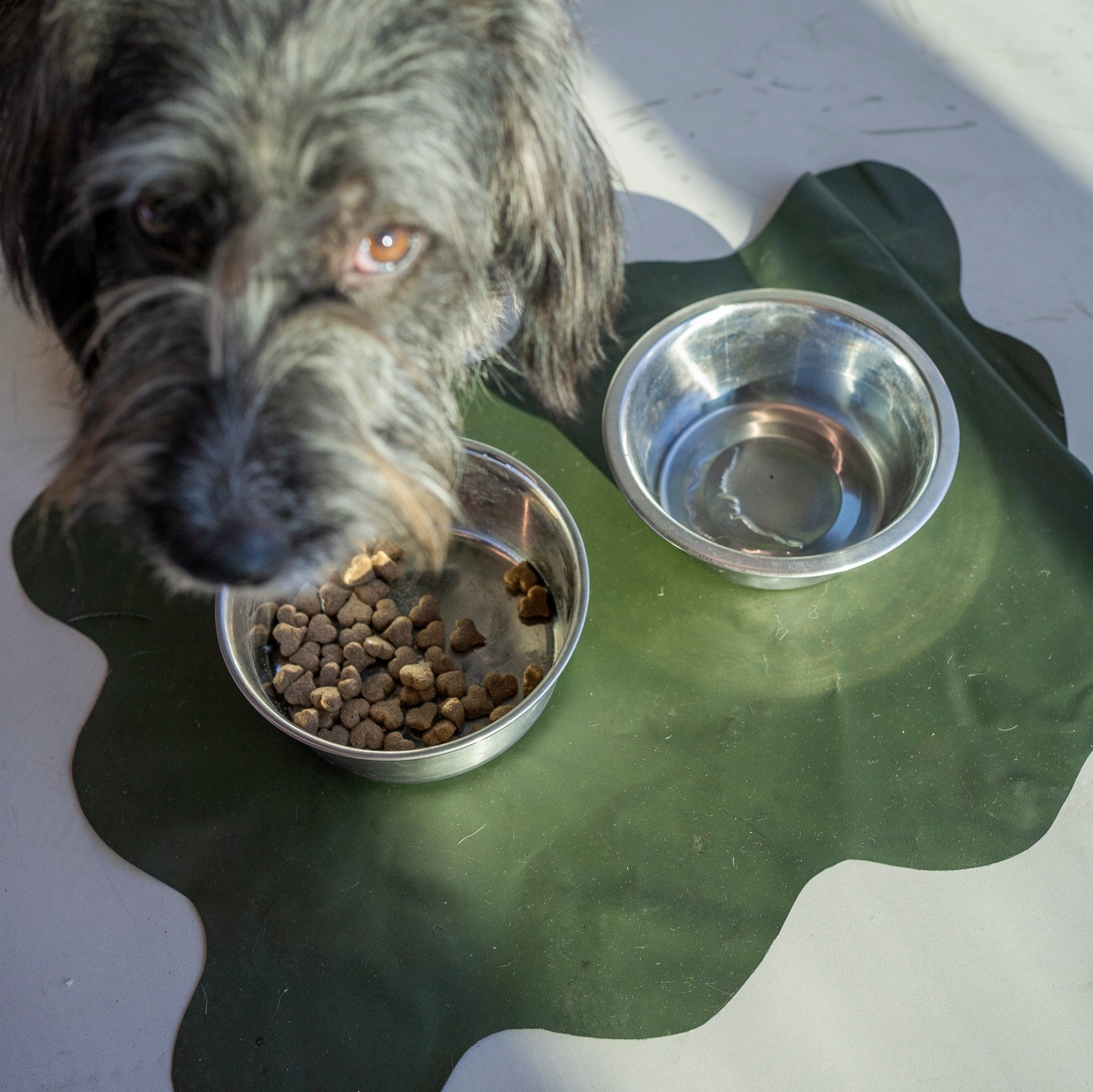 Doggy Dinner Mat