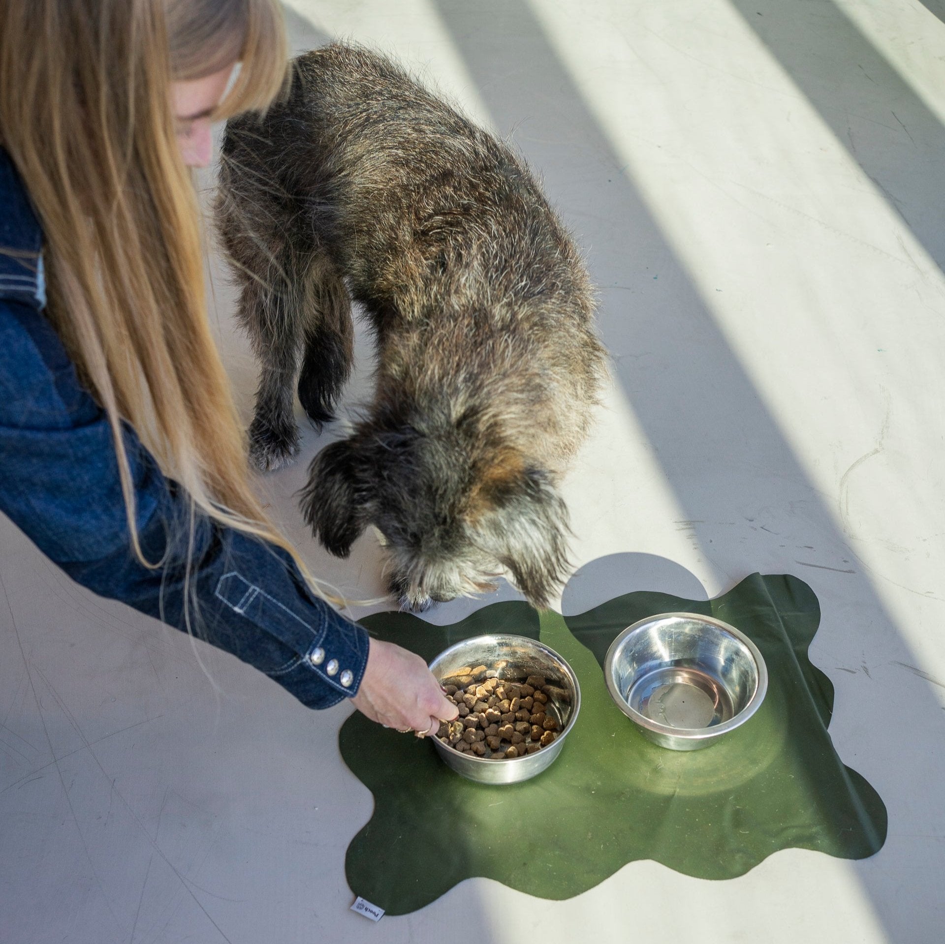 Doggy Dinner Mat