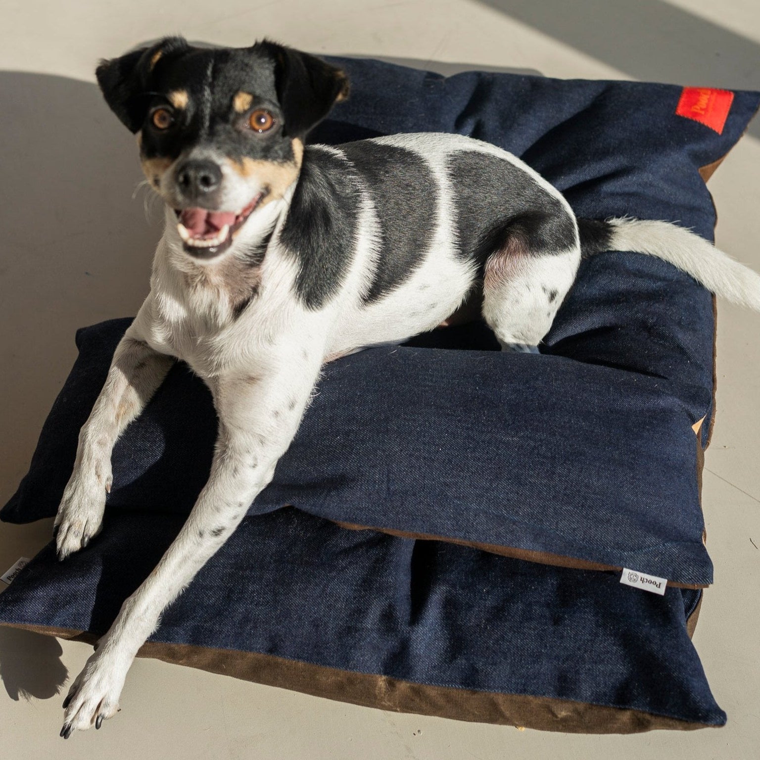 Bed + Bolster